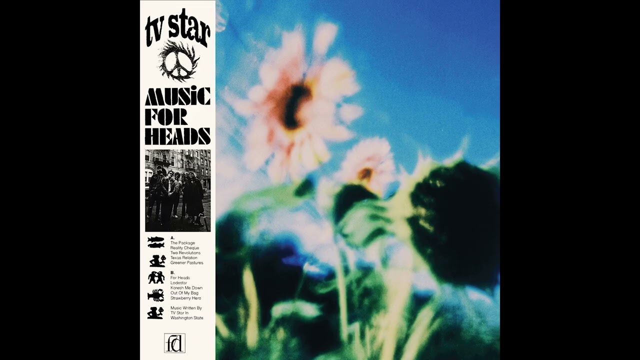 TV Star - Out of My Bag