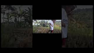 Download lagu goyang dulu gays......asik tarik mang #shorts mp3