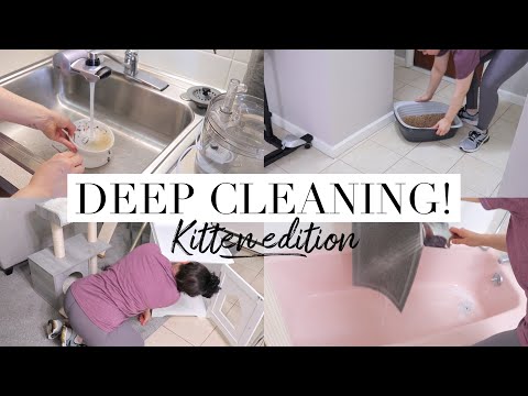 DEEP CLEAN WITH ME  | How I keep my cats area clean