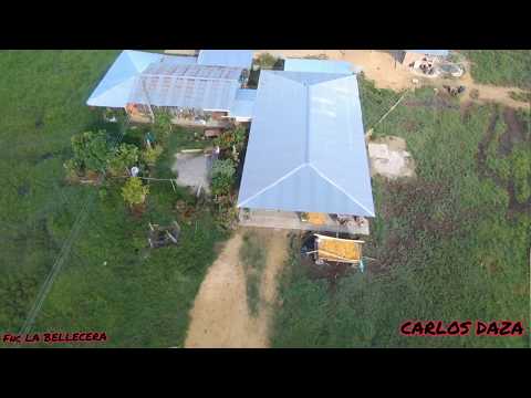 Yo no me voy de mi llano-Jorge Guerreo