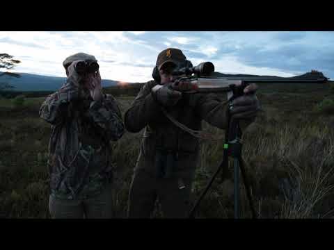 Driven hunt in Turkey - TRAILER