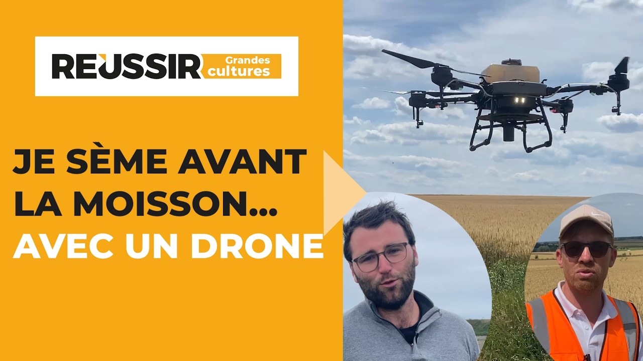 Couverts végétaux : je sème AVANT la moisson… avec un drone 