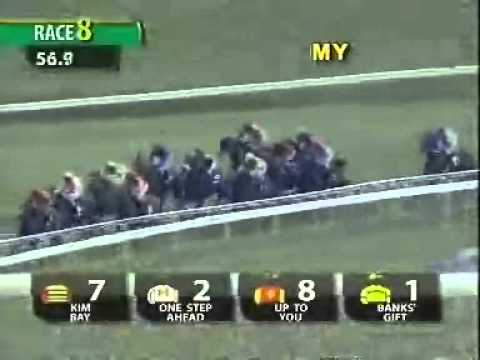 20110108 IPOH  CLASS 3 1400M (SC) - KIM BAY (YF Leong)