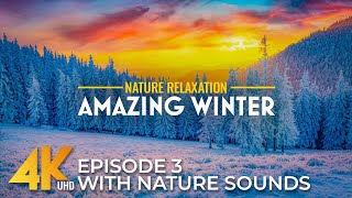 Winter Around the World in 4K | Calm Nature Sounds & Cinematic Landscapes - Episode 3