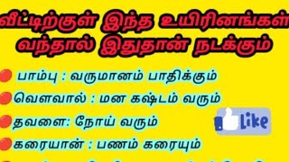 Download lagu இந்தவிலங்குகள் வீட்டிற்குள்வரவே கூடாதுShivasakthibirundha,#shivaparvathi,#sivaparvathiyoutubechannel mp3