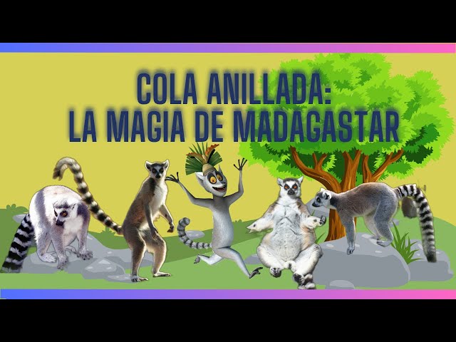 Vídeo relacionado con Collecta - Lemur con Cola Anillada - M - 88831 (90188831)