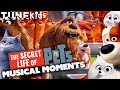 The Best Musical Moments In The Secret Life Of Pets Movies TUNE Kids