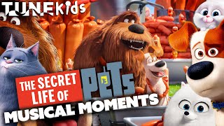 Download lagu The Best Musical Moments In The Secret Life Of Pets Movies! | TUNE: Kids mp3 Download lagu The Best Musical Moments In The Secret Life Of Pets Movies! | TUNE: Kids mp3