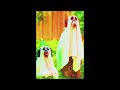 [WRP] Benny Sings - We Ain't Going Nowhere
