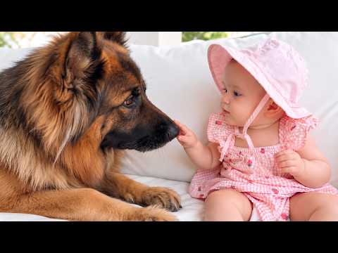 YouTube 썸네일