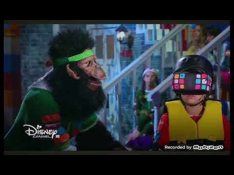 BETO SE PORTA MAL EN EL PARQUE - El Show de Bely y Beto