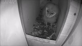 Exploration du couloir