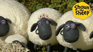 Mama Sheep🐑 Shaun the Sheep 🐑 - Cartoons for Kids 🐑 Full Episodes Compilation [1 hour]