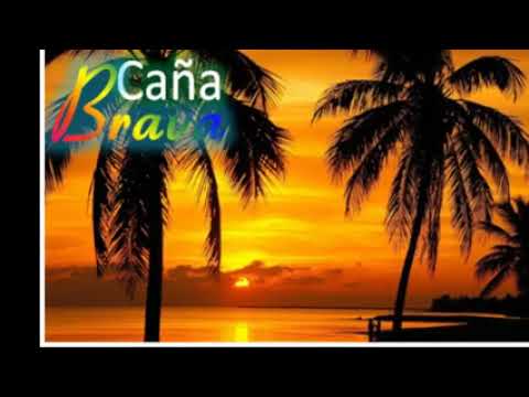 Me Gustas y Te Deseo - Caña Brava