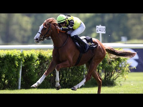 Berlin Hoppegarten: Altano-Rennen 2024 Sieger: Waldadler