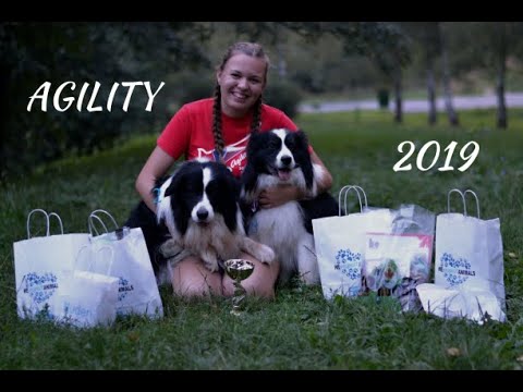 Agility 2019 I Iziček