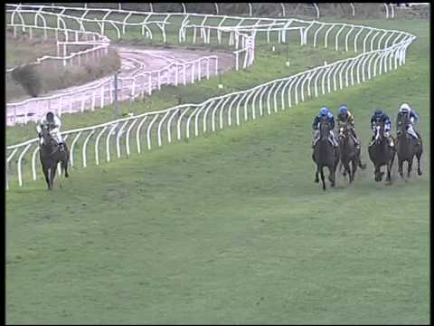 Galoppo 23/01/2015 - 2° corsa