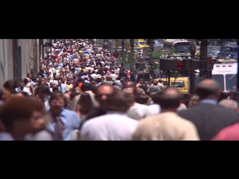 The Jimmy Castor Bunch | Potential