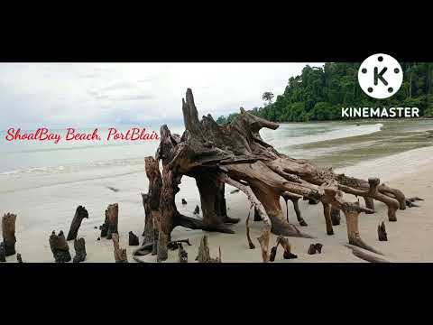 ShoalBay Beach-Hidden Beach in PortBlair| 04-09-2022| Journey through mangroves