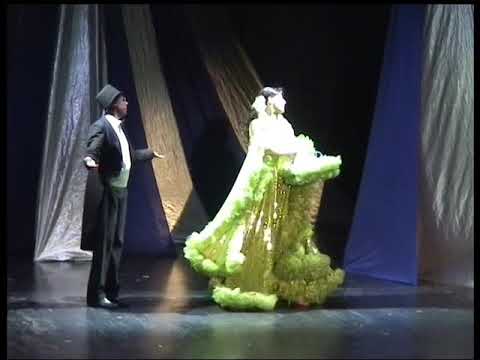 Jiří Korn Ne, maestro travesti Divoké kočky