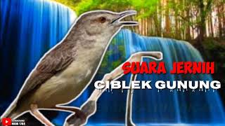 Download lagu CIBLEK GUNUNG NGEBREN PANJANG mp3 Download lagu CIBLEK GUNUNG NGEBREN PANJANG mp3