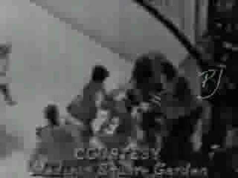 YouTube - Curt Bennett vs Dave Maloney  KO.avi