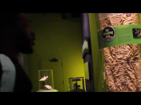 Gusto Da Don x Michelangelo