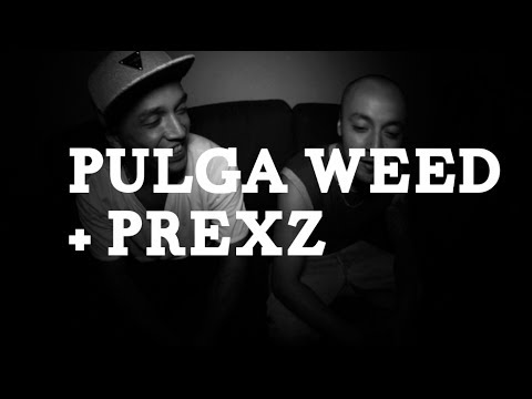 BLACK MONEYS CLIP SHOW • PULGA WEED +  PREXZ