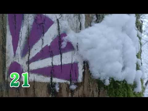 21. Adventsfenster des 3. Dörrenbacher Adventskalenders