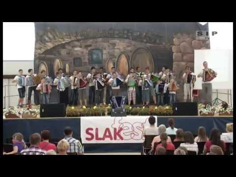 Harmonikarski orkester AS Trebnje - Sinko ne sprašuj
