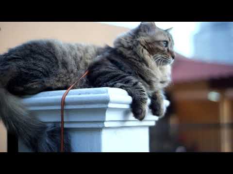 this is what I did yesterday