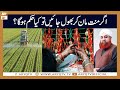 Agar Mannat Man Kar Bhool Jayen To Kya Hukum Hoga Mufti Akmal ARY Qtv