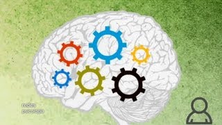 Redes 114: De las inteligencias múltiples a la educación personalizada - psicología