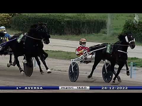 Aversa trotto 24 Dicembre 2022 - 1° Corsa