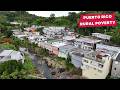 Inside Puerto Rico S Jungle Communities Where People Live On 27 A Day