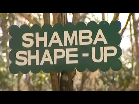 Shamba Shape Up Sn 9 - Ep 16: Maize Weeds, Pests, Aflatoxins (Swahili)