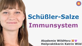 Immunsystem natürlich boostern! Schüßler-Salze, Hausmittel, Erkältungen. Einblick Online-Kurs