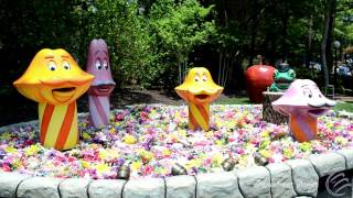 preview picture of video 'Singing Mushrooms [Kings Dominion]'