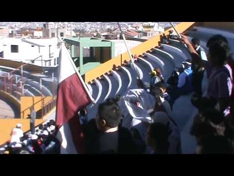 juvenil andino-tomilla