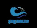 Shawny Binladen X Four50 X Jay Z SAY HELLO Sample Drill Type Beat 2023 Prod By Waverunna