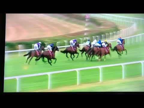QATAR GOODWOOD CUP 2019 (Group 1)