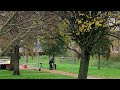 Verdacht pakketje gevonden in Wilhelminapark op Urk