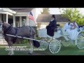 HOOF-it® Natural Flex Composite Horseshoes - Brazos Carriages