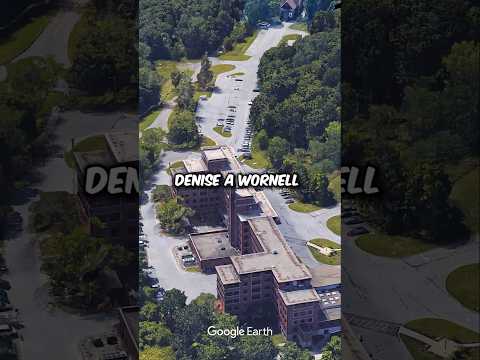 The Most Important Support Broker in New York 🏥