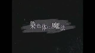 染色体に魔法 / ひらぎ  - Nah 【歌ってみた】