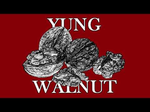yung walnut - when the pizza rolls are done