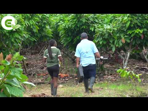 SAN LORENZO AGRICULTORA DORIS