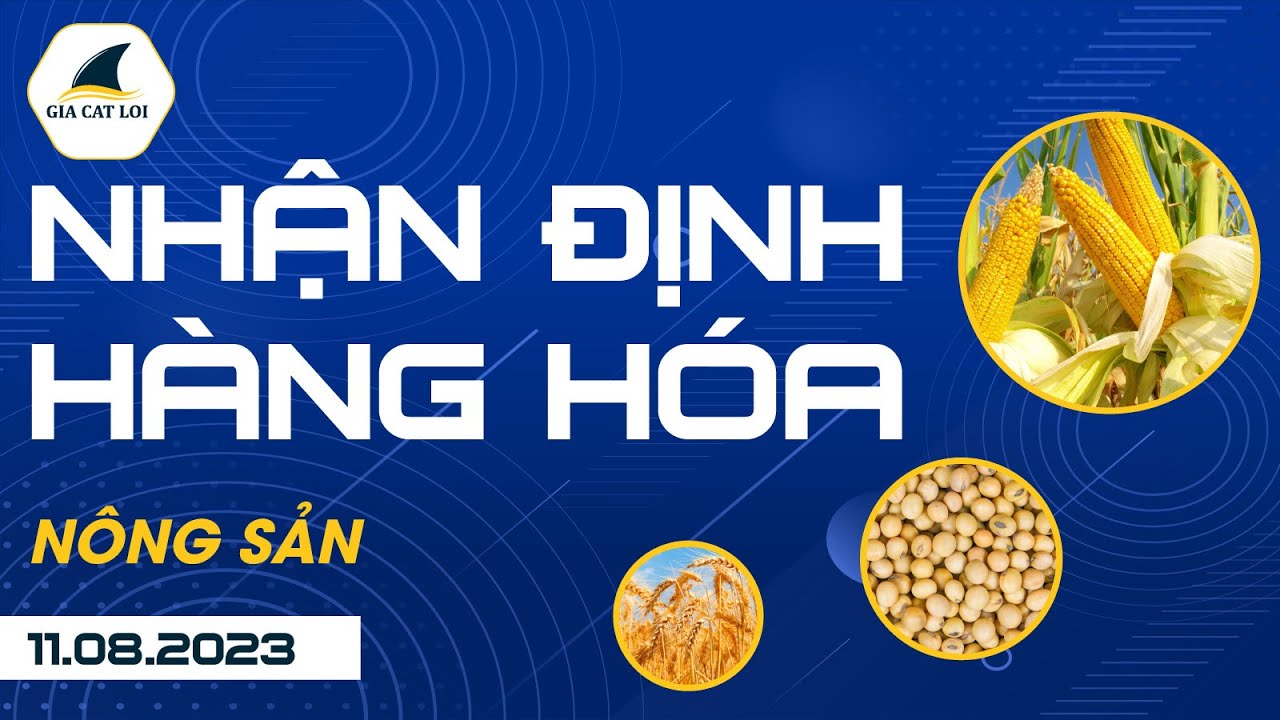 Nhận Định Hàng Hoá Nông Sản Ngày 11/08/2023
