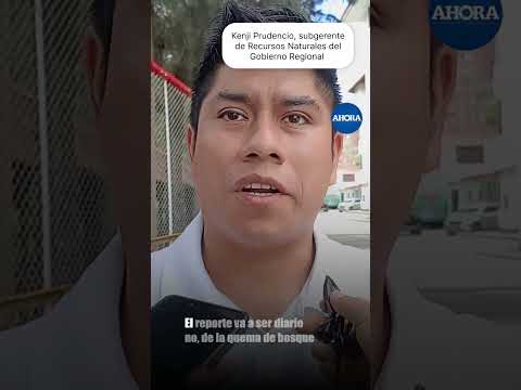 🌳 Contratarán guardabosques para proteger bosques en Marañón 🌿