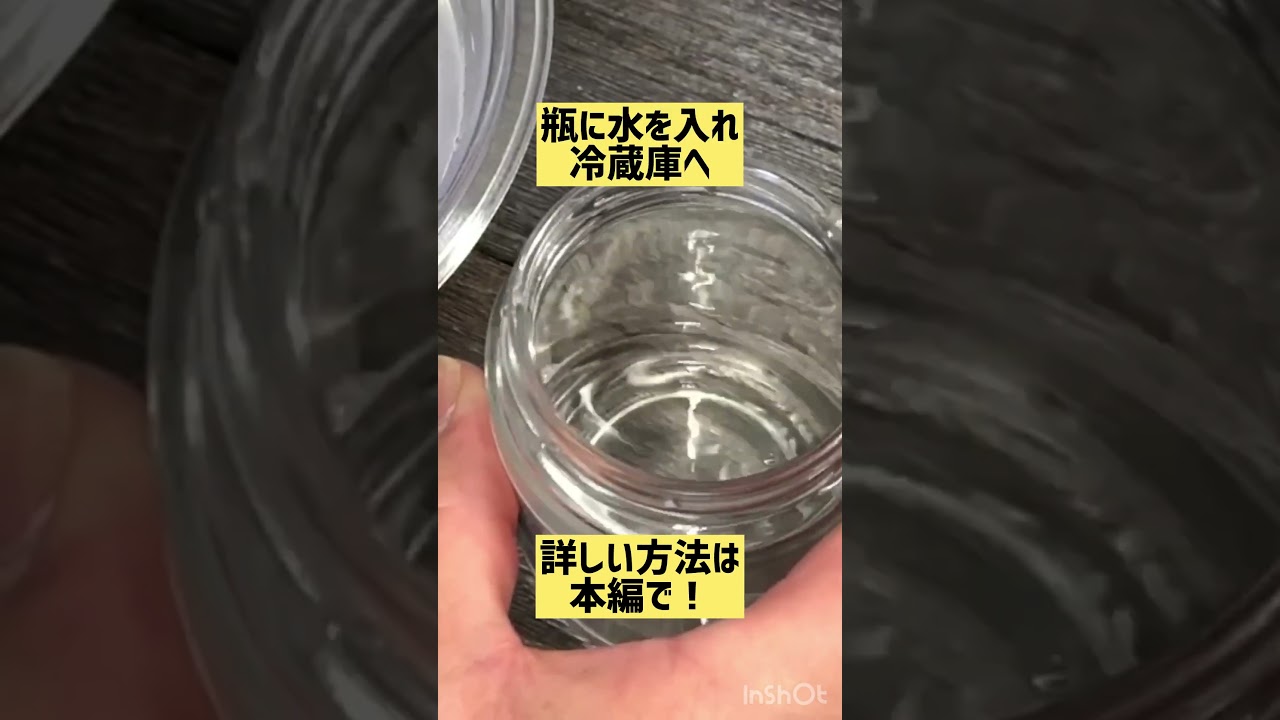 大葉の冷蔵・冷凍保存方法#大葉#shorts#簡単